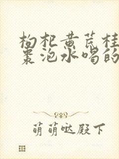 枸杞黄芪桂圆红枣泡水喝的功效及作用封面