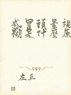 感冒头晕视力模糊是什么原因封面