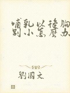 哺乳以后胸部特别小怎么办