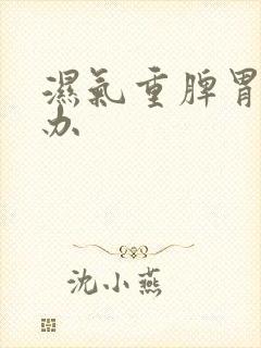 湿气重脾胃怎么办