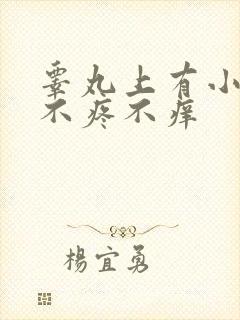 睾丸上有小疙瘩不疼不痒