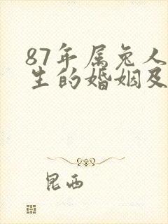 87年属兔人一生的婚姻及命运