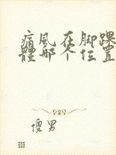 痛风在脚踝的具体哪个位置