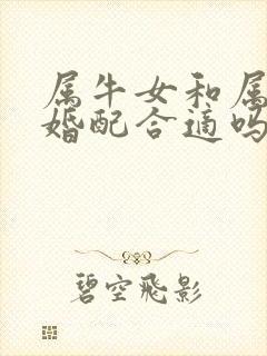 属牛女和属虎男婚配合适吗封面