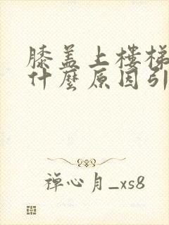 膝盖上楼梯疼是什么原因引起的封面