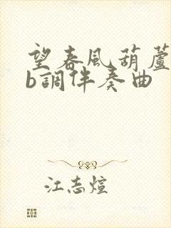 望春风葫芦丝降b调伴奏曲