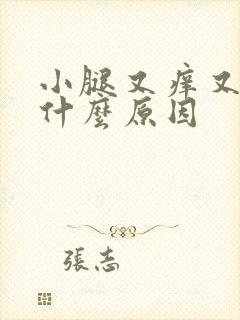 小腿又痒又肿是什么原因