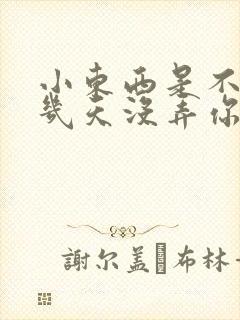 小东西是不是好几天没弄你了作文封面