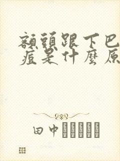 额头跟下巴长痘痘是什么原因引起的