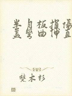 半月板损伤后膝盖弯曲伸直时嘎吱响封面