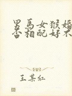 男马女猴婚姻是否相配好不好