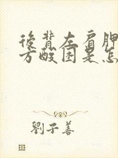 后背左肩胛骨下方酸困是怎么回事封面