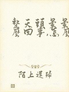 整天头晕晕的怎么回事,怎么治