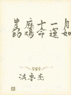 农历十一月出生的鸡命运如何