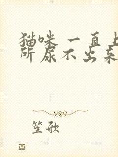 猫咪 一直上厕所尿不出来封面