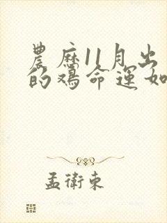 农历11月出生的鸡命运如何