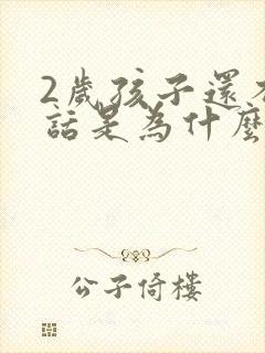 2岁孩子还不说话是为什么