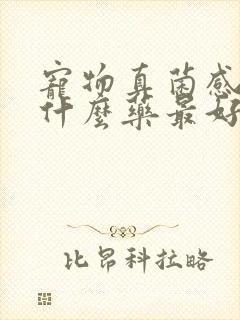 宠物真菌感染用什么药最好