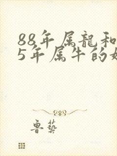 88年属龙和85年属牛的婚配