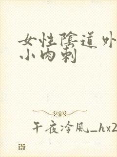 女性阴道外阴口小肉刺