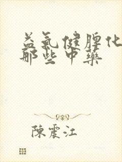 益气健脾化湿吃那些中药