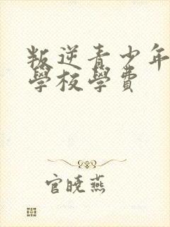 叛逆青少年管教学校学费