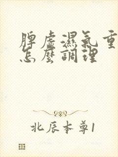 脾虚湿气重症状怎么调理