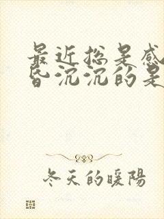 最近总是感觉昏昏沉沉的是咋回事