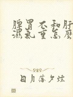 脾胃不和肝火旺湿气重怎么调理?