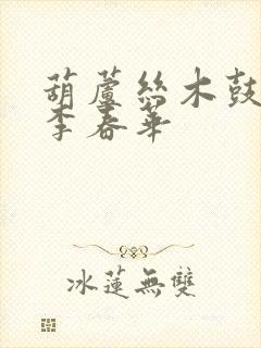 葫芦丝木鼓神韵李春华