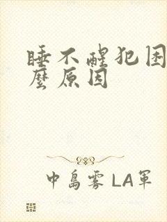 睡不醒犯困是什么原因