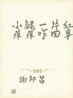 小腿一片红点点痒痒咋回事