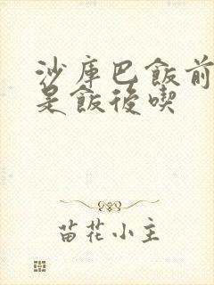 沙库巴饭前吃还是饭后吃封面