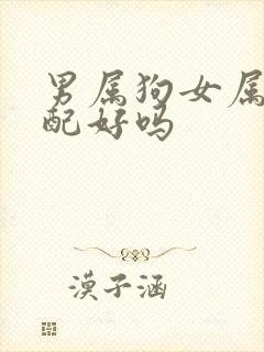 男属狗女属龙婚配好吗