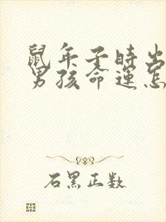 鼠年子时出生的男孩命运怎么样