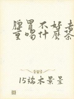 脾胃不好去湿气重喝什么茶