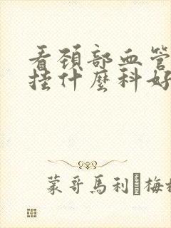 看颈部血管斑块挂什么科好