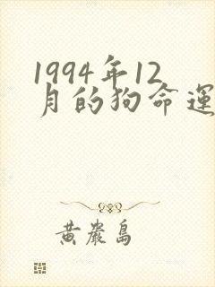 1994年12月的狗命运怎么样封面