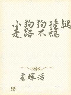 小狗狗后腿无力走路不稳