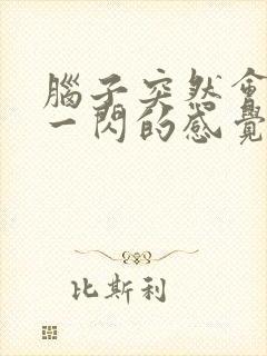 脑子突然会触电一闪的感觉封面