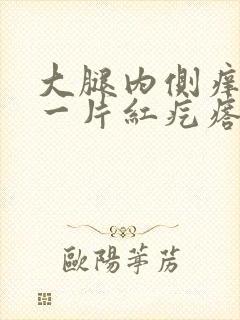 大腿内侧痒挠完一片红疙瘩