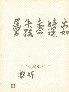 属牛未时出生的男孩命运如何