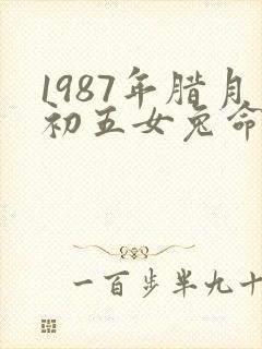 1987年腊月初五女兔命好不好