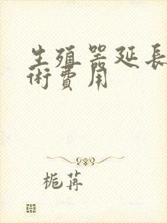 生殖器延长的手术费用