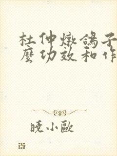 杜仲炖鸽子有什么功效和作用