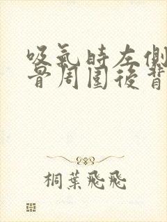 吸气时左侧肩胛骨周围后背里面疼