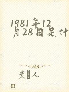 1981年12月28日是什么星座