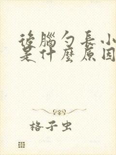 后脑勺长小疙瘩是什么原因引起的