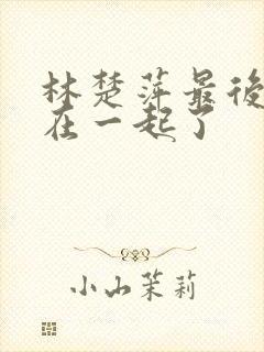 林楚萍最后和谁在一起了