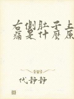 右侧肚子上面疼痛是什么原因